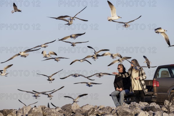 Man and woman tossing bread crumbs to sea gulls along the Mississippi Gulf Coast