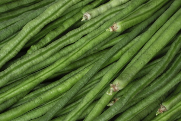 Close-up of green beans with a detailed view of their texture, showcasing their fresh and natural