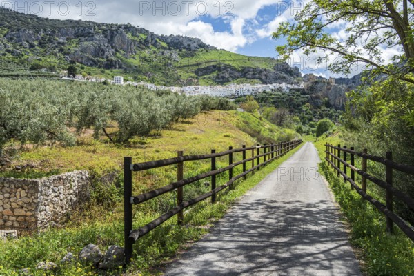 Cycle path via verde del aceite, below Zuheros castle and village, Sierras Subbéticas, Zuheros,