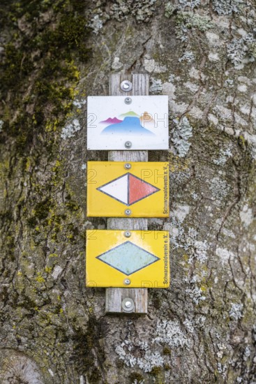 Schilder, Wegweiser, vom Schwarzwaldverein, der sich der Pflege und Markierung von Wanderwegen