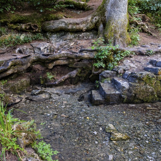 Filsursprung, source of the Fils and karst spring near Wiesensteig, Swabian Alb, Baden-Württemberg,