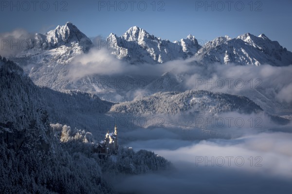 Neuschwanstein Castle with snowy mountains, Allgäu Alps, Fussen, Allgäu, Bavaria, Germany