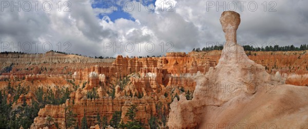 Thor's Hammer, a sandstone pillar or hoodoo formed by erosion in the Queens Garden, Bryce Canyon