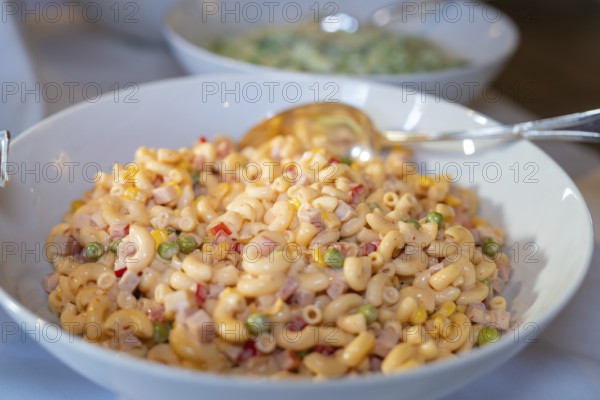 Bowl with colourful mixed pasta salad ready to serve, Europäischer Hof, Königsbach Stein, Germany