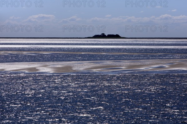 Schleswig-Holstein Wadden Sea National Park with a terp on the Hallig Langeness, North Frisia,