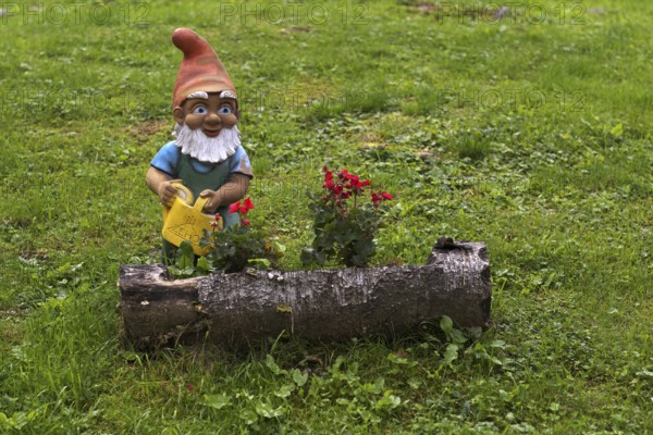 Garden gnome with watering can, Streitweider Alm, Taser Höhenweg, Schenna, Scena, South Tyrol,