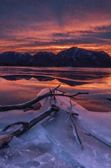 Dawn, mountains reflected in lake, clouds, ice, frozen, winter, Lake Kochel, view of Rabenkopf,