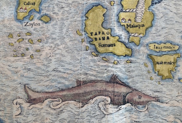 South India, Sumatra, Malaysia, sea monster, detail, hand-coloured woodcut map from Sebastian