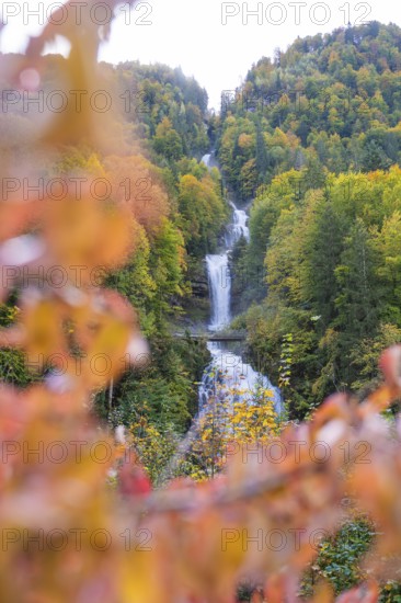 Large waterfall in an autumnal forest with colourful leaves in the foreground, Grandhotel