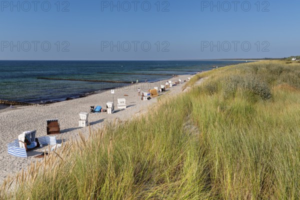 Hohes Ufer, Ahrenshoop, Fisch-Darß-Zingst peninsula, Mecklenburg-Western Pomerania, Germany,