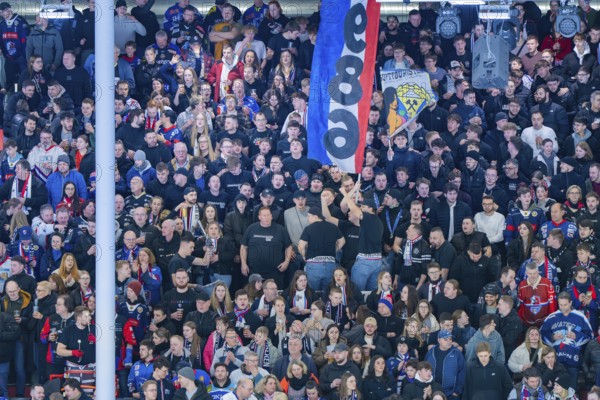 Cheering spectators in a stadium with flags held high, Heilbronner Falken Vs Bietigheimer Steelers,