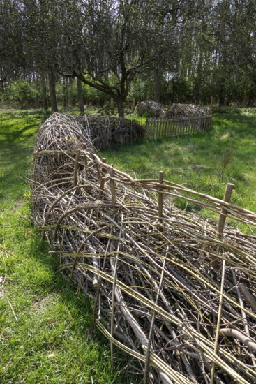 Benjes hedge, garden, Anne Hathaway's Cottage, Shottery, Stratford-upon-Avon, Warwickshire,