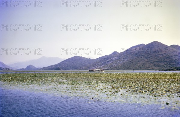 Boat trip onLake Shkodra Lake Skadar Lake Scutari, between Albania and Montenegro, former