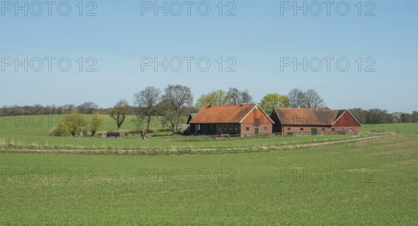 Farm at green field and blue sky in springtime in Ystad Municipality, Skåne County, Sweden,