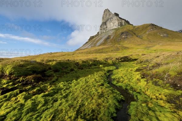 Alkhornet mountain, Trygghamna bay, Isfjorden fjord, Spitsbergen, Svalbard Islands, Svalbard and