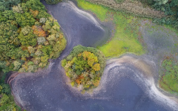 Mixed forest in autumn, colouring, aerial view, forest, autumnal, Ahlhroner Fischteiche,