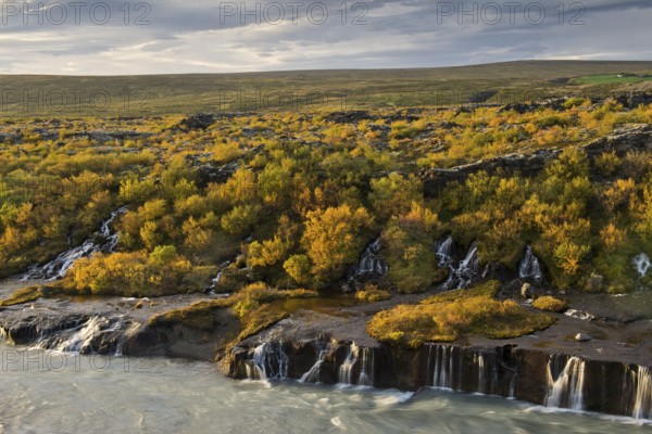 Hraunfossar, waterfalls of the Hvítá river in autumn, near Húsafell and Reykholt, Iceland
