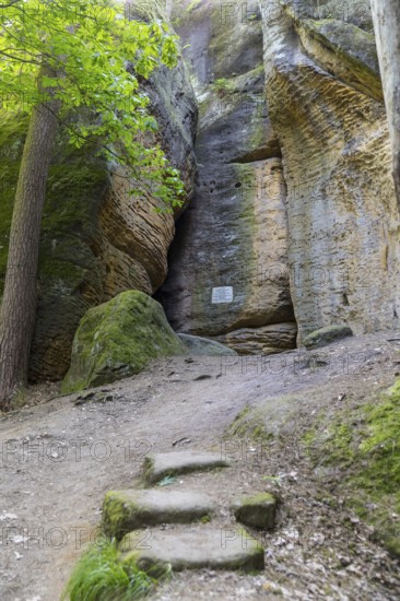 Rocky landscape at the Diebskeller or Götzinger Cave at the Kleiner Bärenstein, Thürmsdorf,