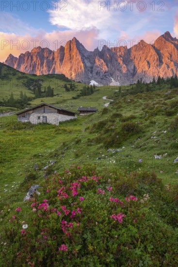 The Ladiz-Alm, the high alpine pasture of the Eng-Alm, Ladiz-Alm, Karwendel Mountains, Tyrol,