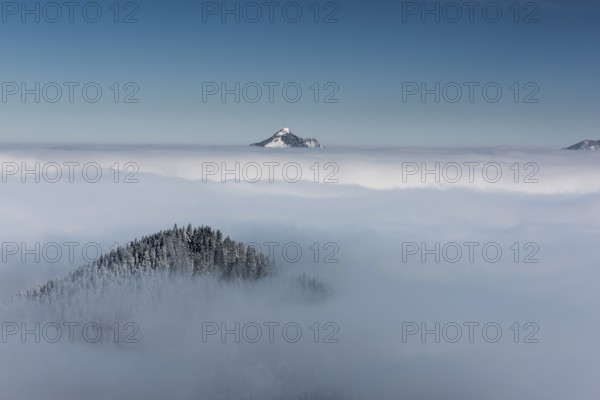Snow-covered peak of Mt Grünten above the layer of fog, Ofterschwang, Oberallgäu district, Bavaria,