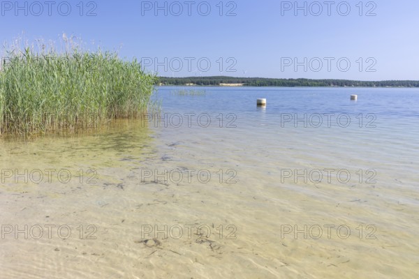 On the shore of the Scheibe-See, open-cast mining pit, which is now open for swimming, Hoyerswerda,