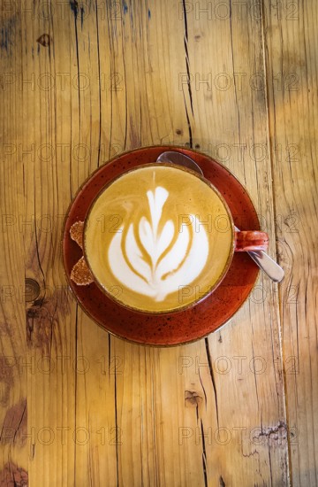 Cappuccino with floral pattern in milk foam, wooden table, coffee, cup, coffee mug, drink, caffeine