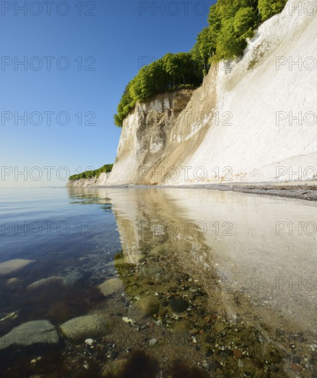 Germany, Mecklenburg-Western Pomerania, Island of Rügen, Jasmund National Park, chalk cliffs