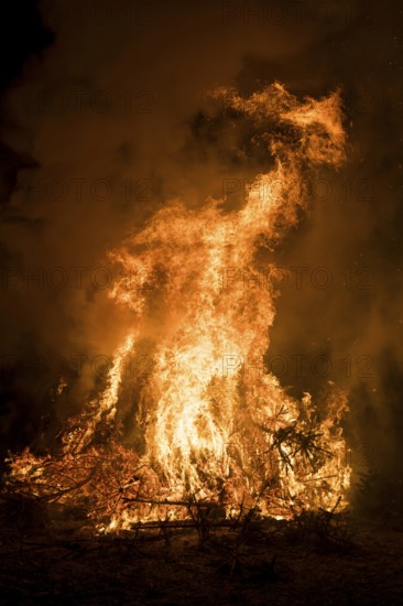 Environmental pollution, fire from discarded Christmas trees, Ostfildern-Plieningen,