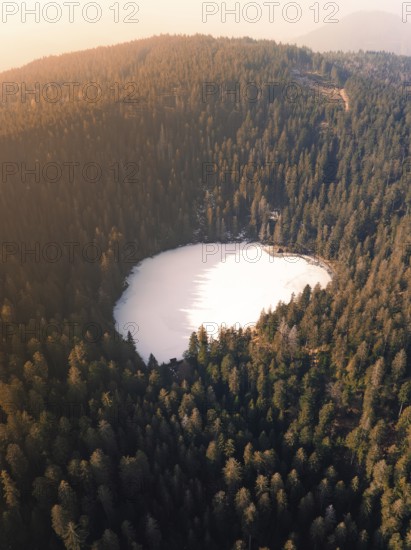 Bird's eye view of a lake surrounded by trees in a tranquil natural setting, Glaswaldsee, Bad