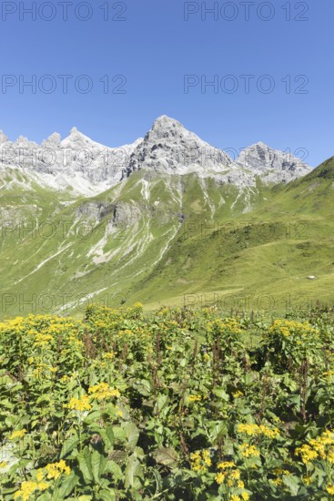View from the Kemptner Hütte, 1844m, to the Muttlerkopf, 2368m, Allgäu Alps, Allgäu, Bavaria,