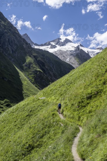 Hiker on hiking trail, view of Großer Schober and Rötspitze, Umbaltal, Hohe Tauern National Park,