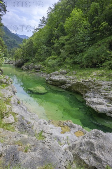 Emerald green river Pozze Smeraldine, Tramonti di Sopra, Province of Pordenone, Italy