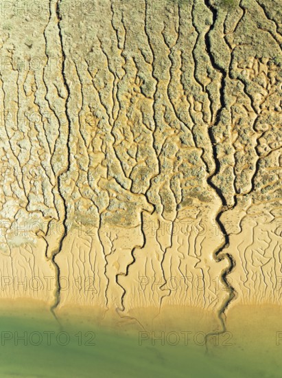 Network of channels and streams at low tide. In the marshland adjacent to the Odiel river. Aerial