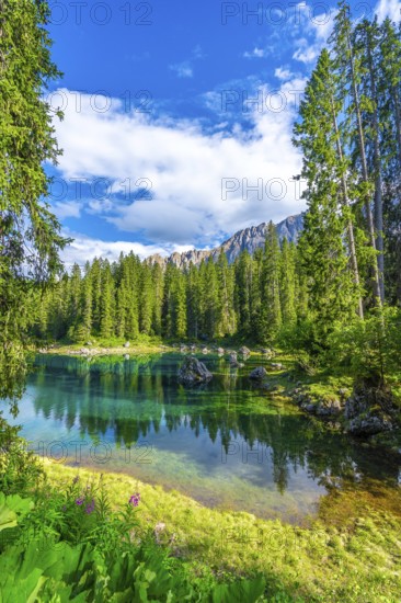 Emerald waters of lake carezza reflecting latemar mountain range and lush green forest on a sunny