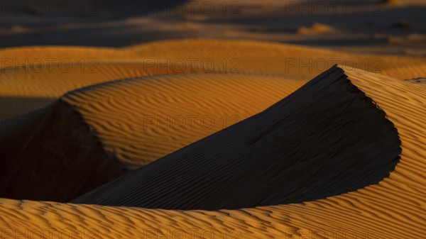 Sand dunes in the Rhub al Khali desert, detailed view, empty quarter, largest sandy desert in the