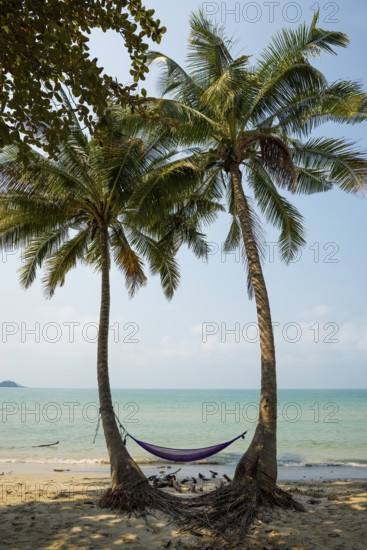 Picturesque beach with coconut palms and hammock, Klong Prao Beach, Ko Chang, Koh Chang, Mu Ko