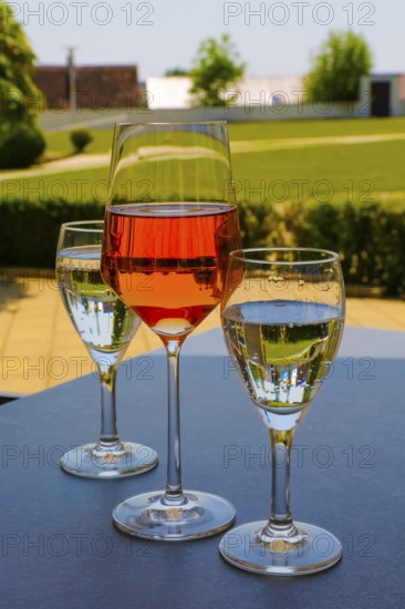 Froben Restaurant am Schloss, restaurant, gastronomy, drinking, wine glass, rose, wine, mineral