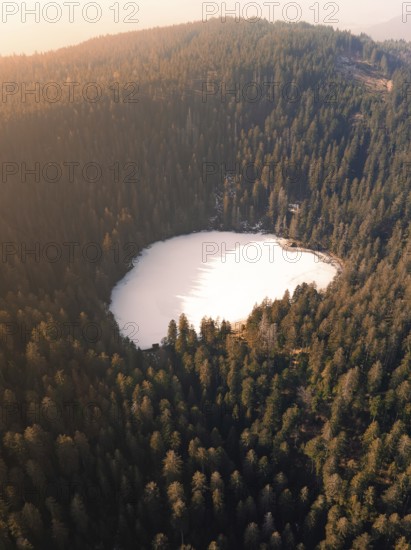 A bird's eye view of a lake surrounded by dense forests in a peaceful landscape, Glaswaldsee, Bad