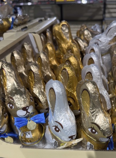 Display on retail shelf of wholesale chocolate Easter bunnies chocolate Easter bunnies wrapped in