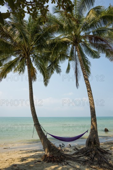 Picturesque beach with coconut palms and hammock, Ko Chang, Koh Chang, Mu Ko Chang National Park,