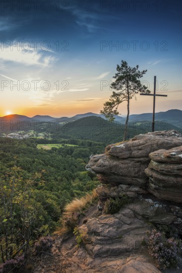 Sandstone rock with pine tree and summit cross, Rötzenfelsen, sunrise, Gossersweiler-Stein,