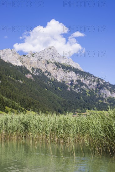 Haldensee, Tannheimer Tal, behind it the Rote Flüh, 2108m, Tannheimer Berge, Allgäu Alps, Tyrol,