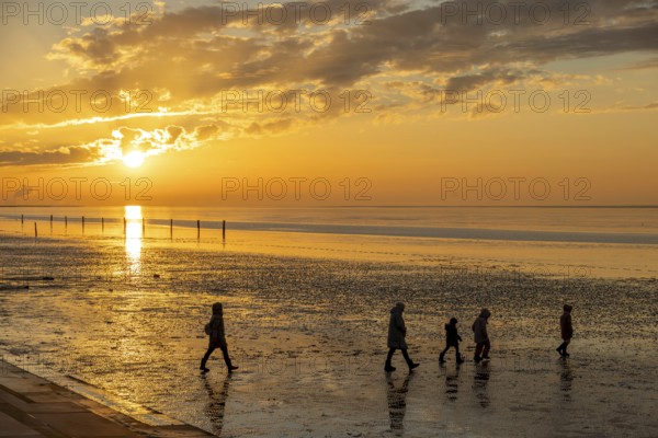 Mudflat hiker at sunset, family, 5 persons, mudflats, North Sea, East Frisia, Norddeich, Lower