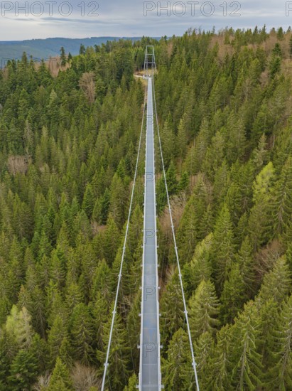 A long bridge cuts through a dense forest from the perspective of an observer, Wildline Suspension