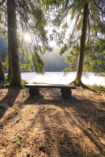 A quiet seating area in the forest with sunlight, view of a lake, calming atmosphere, Glaswaldsee,