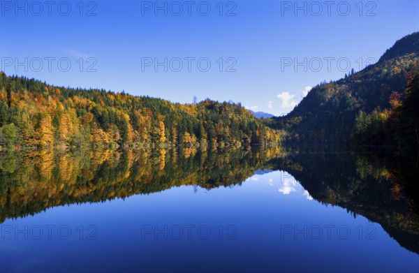 Mountain lake, Colourful autumn forest reflected in the Nussensee, Salzkammergut, Salzburg