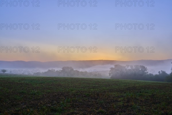 Dawn over a foggy cereal field with hills and trees in the background in a quiet atmosphere,