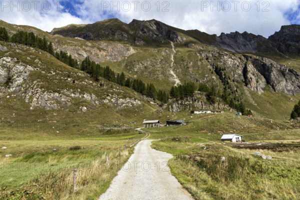 Sambuco valley, Vale Sambuco, behind Alpe Campo la Torba -Dazio and Ticino mountains, near Fusio,
