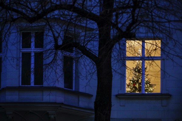 Luminous Christmas tree in a flat. Due to the corona pandemic, Christmas parties are only allowed