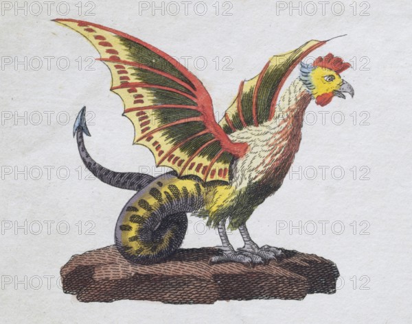 Basilisk, mythical creature, hand-coloured copperplate engraving, from Friedrich Justin Bertuch's